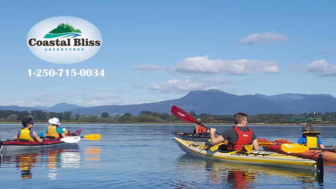 Coastal Bliss Kayaking