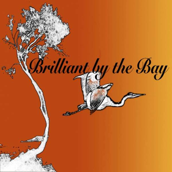 Brilliant By The Sea Bed and Breakfast